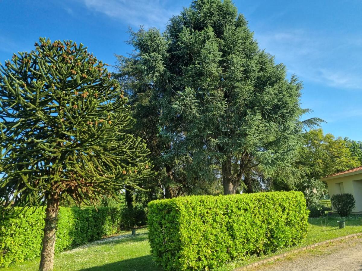 Вилла Les 3 Cedres Miramont-de-Guyenne Экстерьер фото