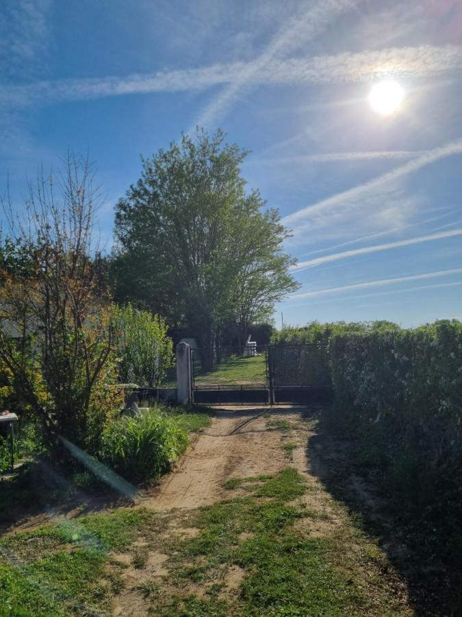 Вилла Les 3 Cedres Miramont-de-Guyenne Экстерьер фото